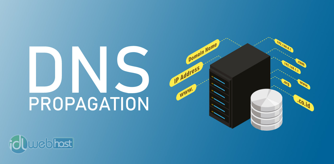 DNS Propogation